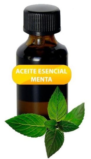 Aceite Esencial Menta