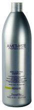 Amethyste Regulate Champú