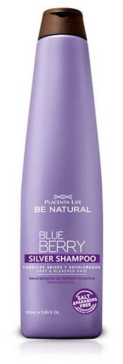 Blueberry Silver Champú 350 ml