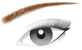 Lápiz de Cejas Brow Artist Designer 303 Deep Brown