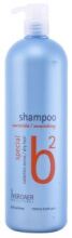 B2 Nourishing Champú 1000 ml