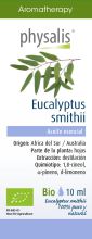 Esencia Eucalyptus Smithii 10 ml