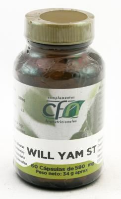 Wild Yam St Capsulas 580 mg