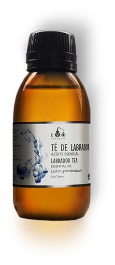 Te de Labrador Bio 30 ml