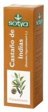 Castaño Indias 60 ml