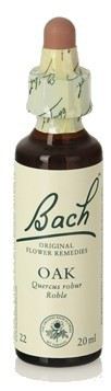 Bach 22 Roble 20 ml