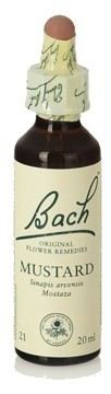 Bach 21 Mostaza 20 ml