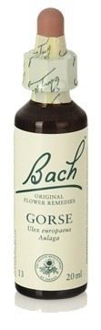 Bach 14 Brezo 20 ml