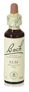 Bach 11 Olmo 20 ml