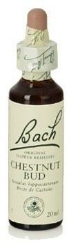 Bach 7 Brote de Castaño 20 ml