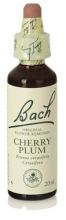 Bach 6 Cerasífera 20 ml