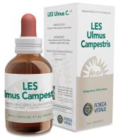 Les Ulmus Campestris Olmo 50 ml