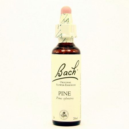 Bach 24 Pino 20 ml