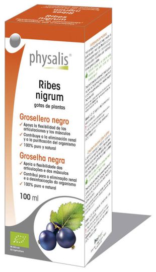 Extracto Ribes Nigrum 100Ml Bio