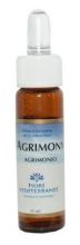 Fm 1 Agrimoni 10 ml