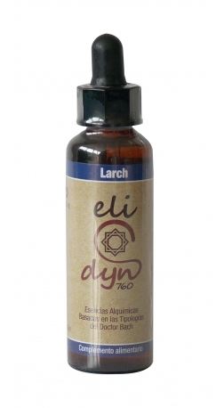 Elidyn Larch 20Ml