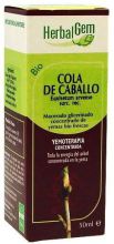 Cola De Caballo Macerado Glicerinado 50 ml