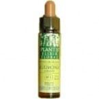 Olive Plantis Nº 23 10 ml