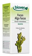 Fucus Vesiculosus Fucus 50 ml