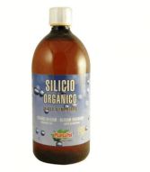 Silicio Biodisponible