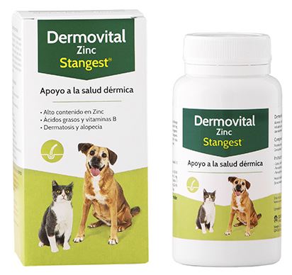 Dermovital Zinc 60 comprimidos