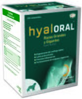 Hyaloral Razas grandes Gigantes