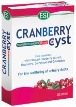 Cranberry cyst nocyst 30 comprimidos