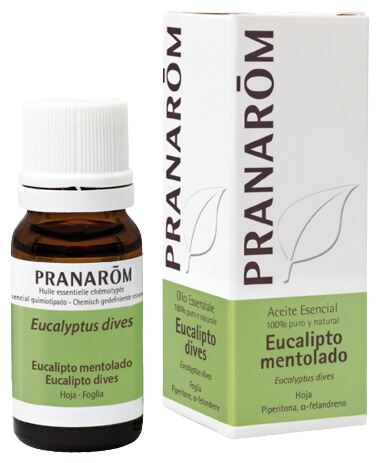 Eucalipto Mentolado Aceite Esencial 10 ml