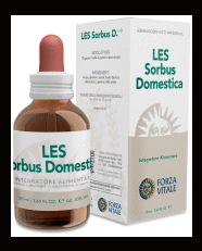 Les Sorbus Domestica Serbal 50 ml