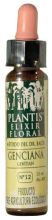 Gentian Plantis Nº 12 10 ml