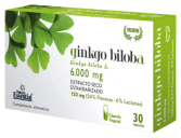 Ginkgo Biloba 60 Cápsulas