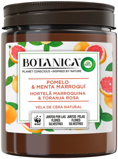 Vela Aromática de cera natural Pomelo y Menta Marroquí 205 gr