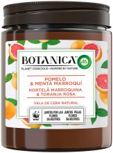 Vela Aromática de cera natural Pomelo y Menta Marroquí 205 gr